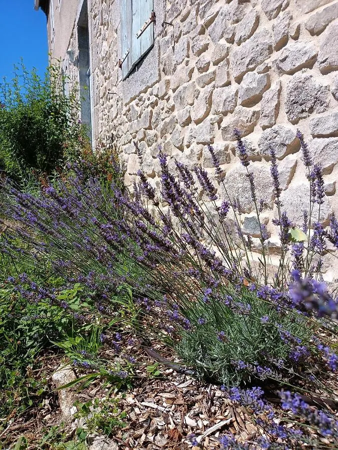 L'Ancienne Ecole De Sainte-Margueriteヴィラ フランス